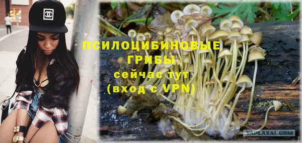 прущая мука Волоколамск