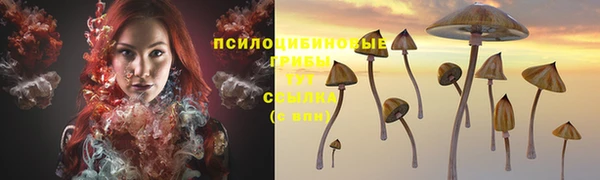 марки lsd Бугульма