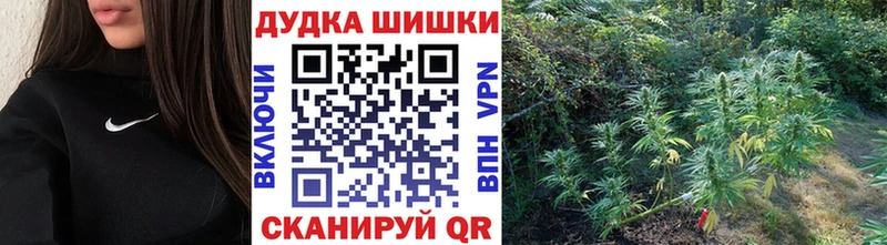 сколько стоит  Донской  Конопля план 